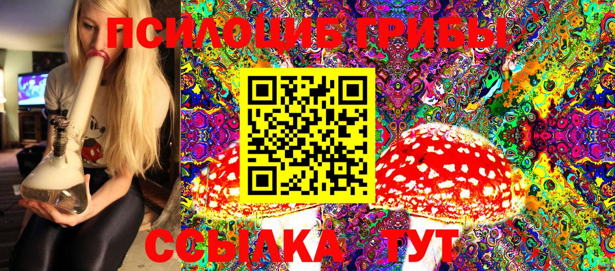 Псилоцибиновые грибы Magic Shrooms  Вход с VPN  Псилоцибиновые грибы мицелий  Реж 